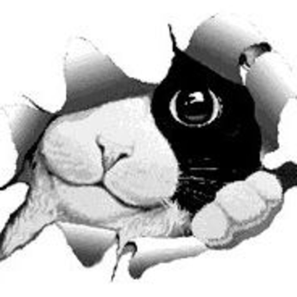 Meet your Posher, Kathleen